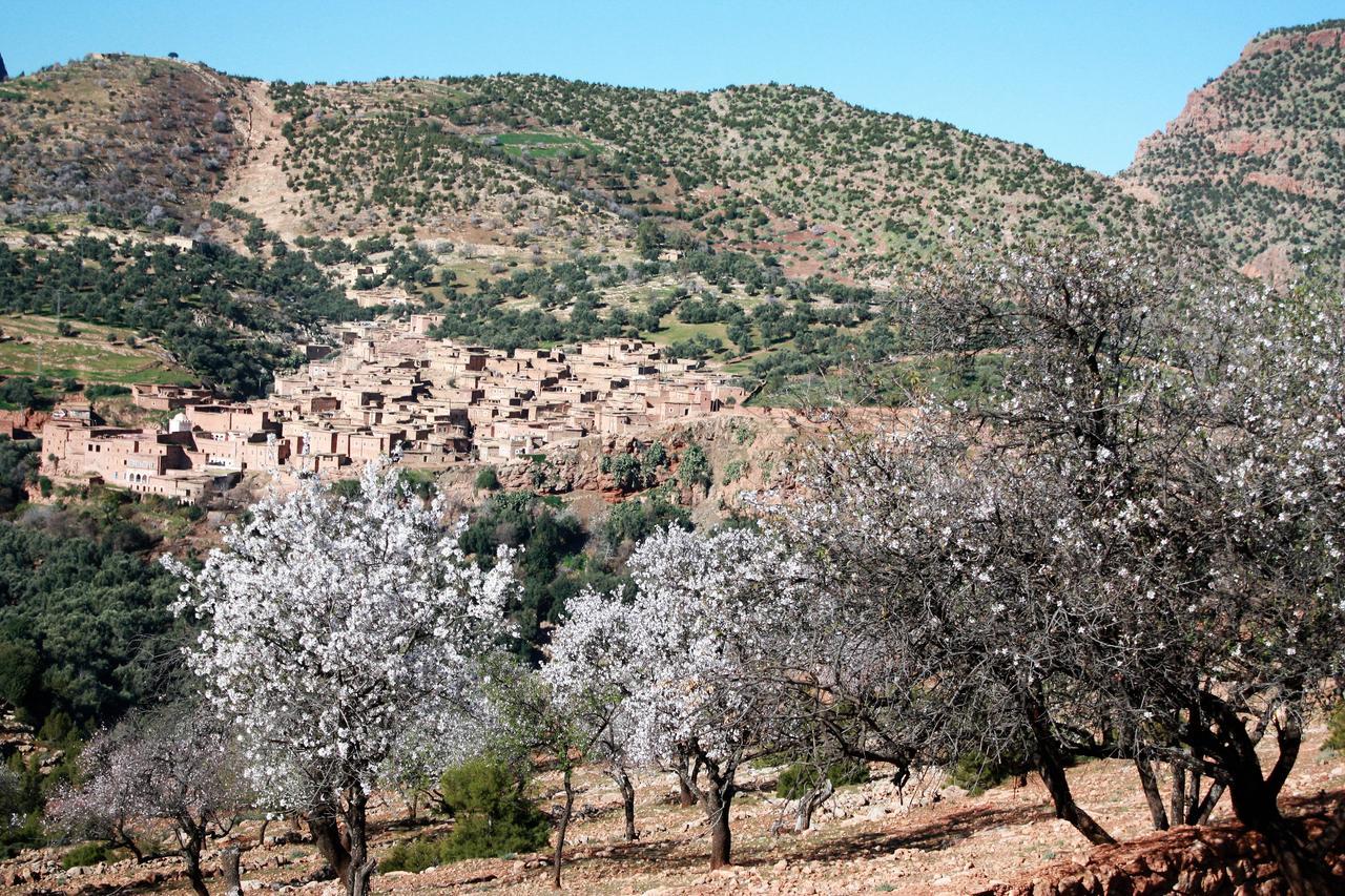 Riad Cascades D'오조드 외부 사진